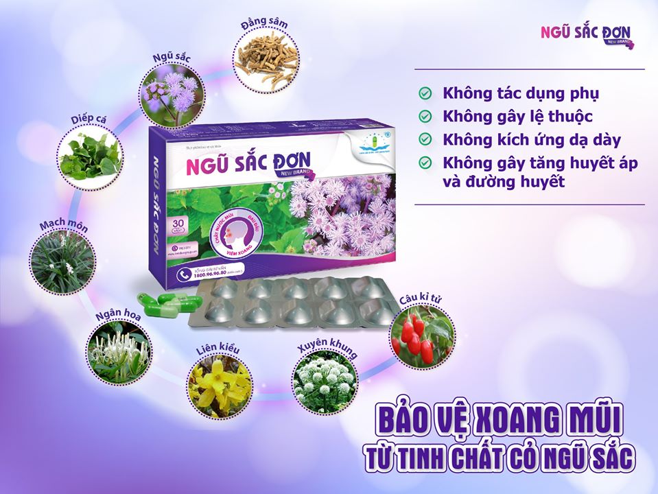 Ngũ Sắc Đơn new brand 4