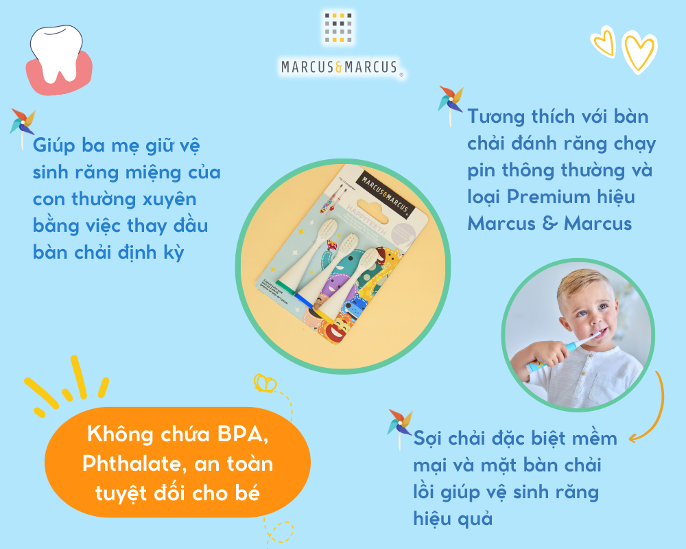 Bộ 3 đầu bàn chải thay thế cho bé Marcus & Marcus (Ollie/ Lucas/ Lola)