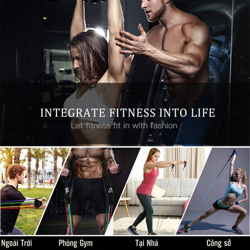 bo-day-cao-su-dan-hoi-ngu-sac