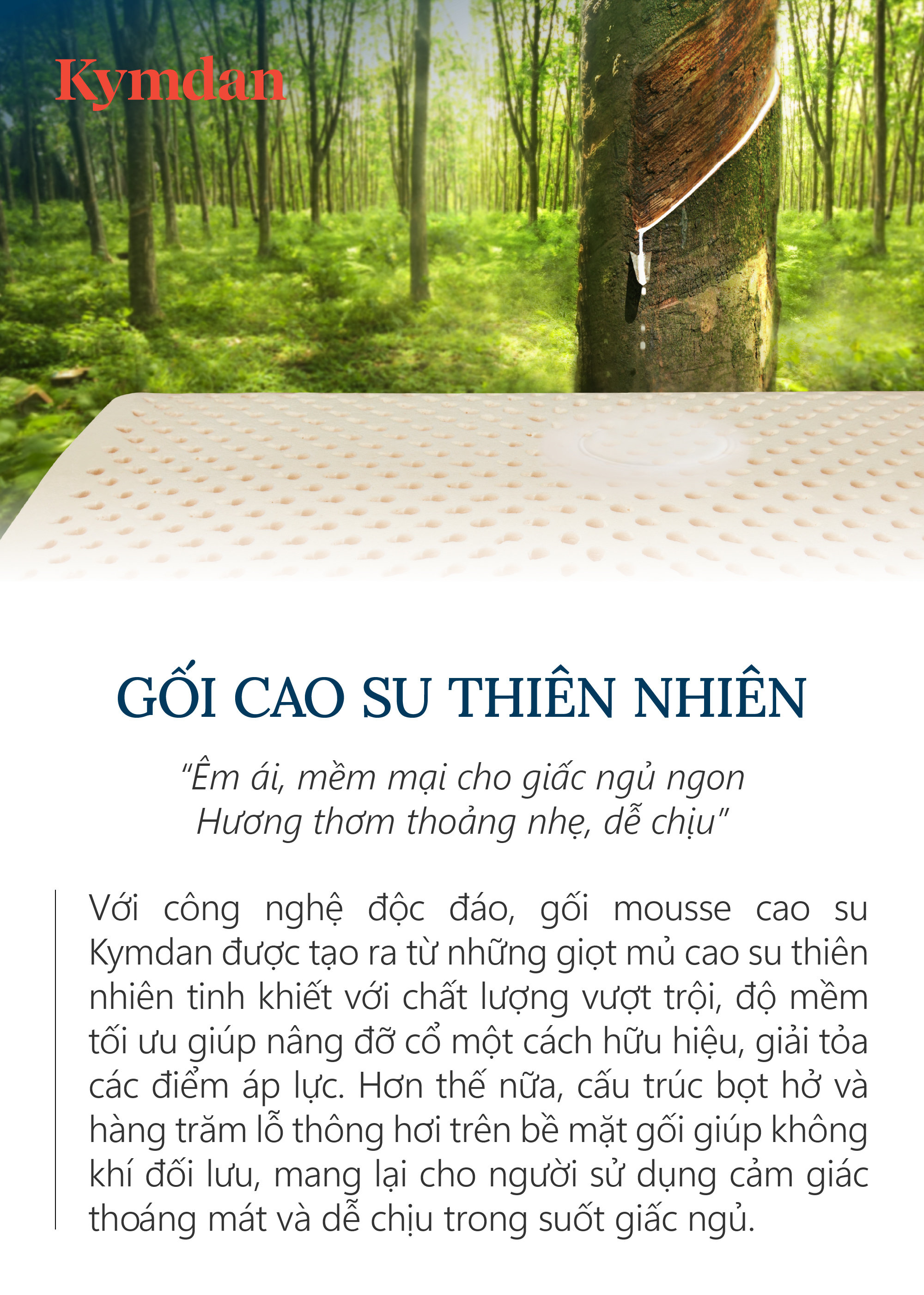 Gối cao su thiên nhiên Kymdan Pillow PressureFree Air 60 x 38 x 8 cm