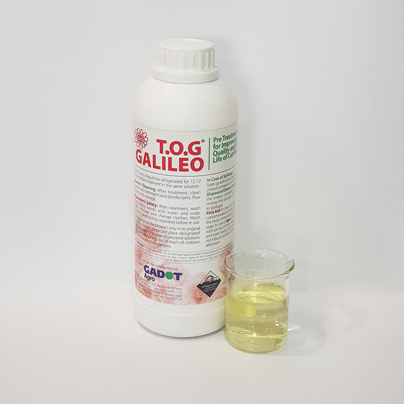 Dung Dịch Xử Lý Hoa TOG Galileo của ISRAEL (Chai 1 Lít) dùng bảo quản hoa cắt cành tươi lâu tại Nhà Vườn Trồng Hoa, Vựa Hoa và Chợ Sỉ Hoa. Tỷ lệ dung dịch 0.1% tức chai 1 Lít TOG pha được 1.000 Lít dung dịch xử lý hoa