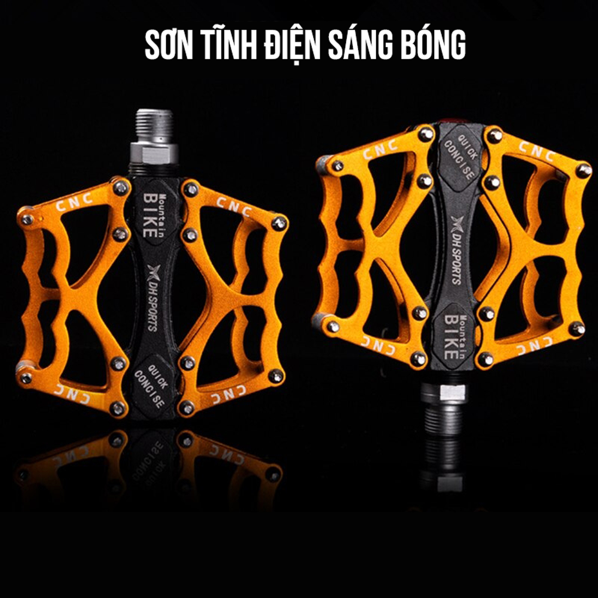 pedan-ban-dap-xe-dap