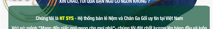 Gối ngủ cao su non HT SYS - Gối cao su non Memory Foam Nhật Bản - Gối giúp ngủ nhanh , chống mỏi vai gáy - Hàng Chính Hãng