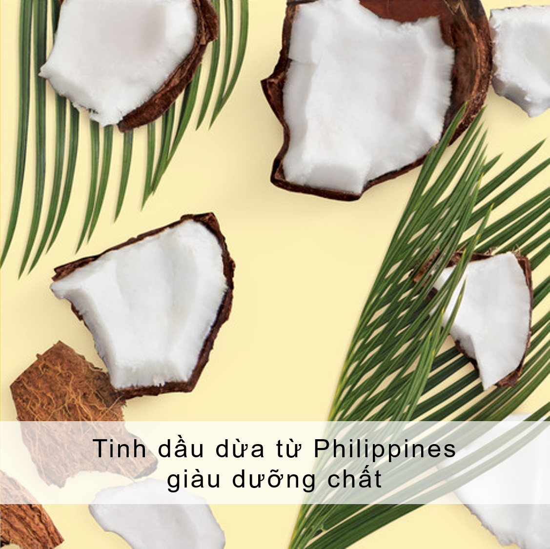 Dầu Xả Phục Hồi Hư Tổn Love Beauty And Planet Hope And Repair 400ml Dầu Xả Phục Hồi Hư Tổn Love Beauty And Planet Hope And Repair 400ml