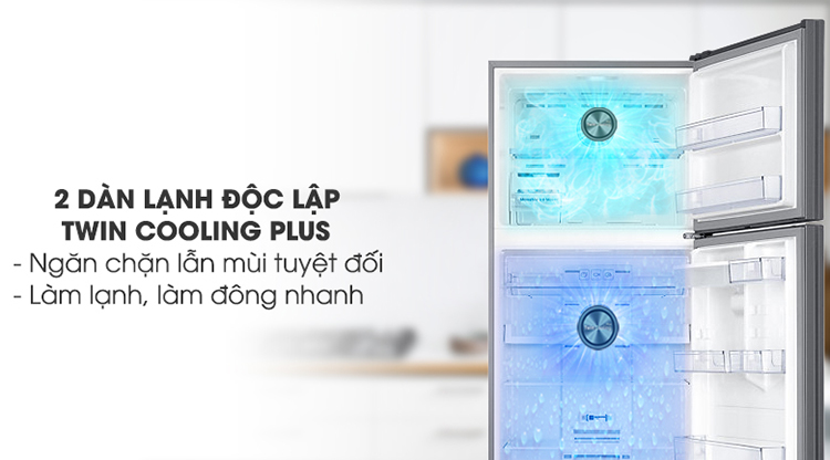 Tủ Lạnh Samsung Inverter RT43K6631SL/SV (453L)