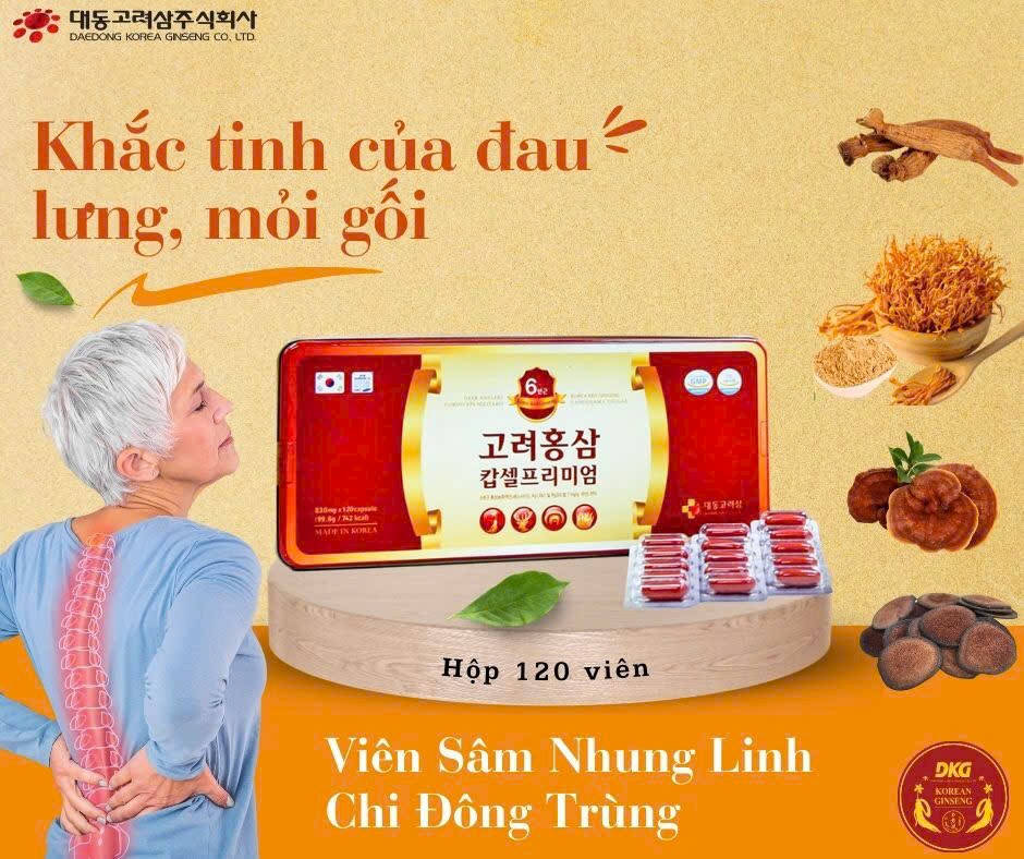 Viên Hồng Sâm Nhung Linh Chi Đông Trùng Hạ Thảo 120 Viên
