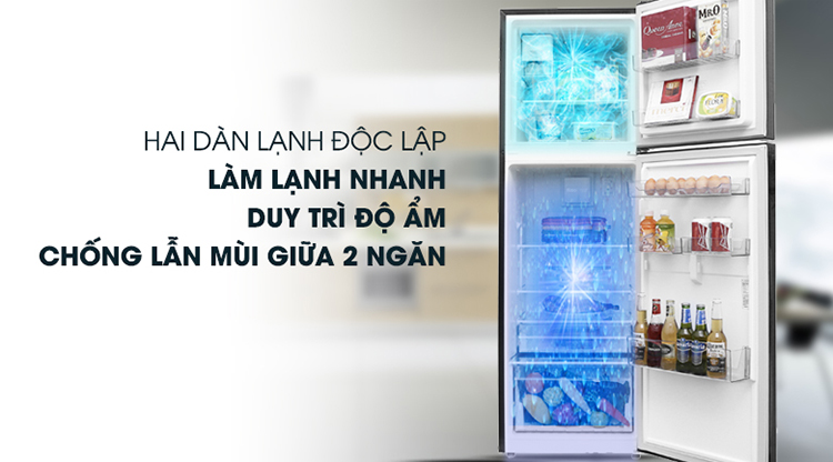 Tủ Lạnh Inverter Beko RDNT230I50VWB (201L) (Đen) - Hàng chính hãng