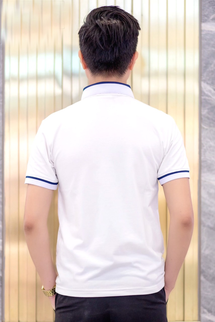 Áo thun polo nam có cổ bẻ phối sọc ngang cá sấu cao cấp trẻ trung ND02