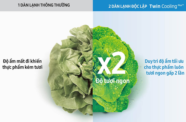 Tủ Lạnh Samsung Inverter RT43K6631SL/SV (453L)