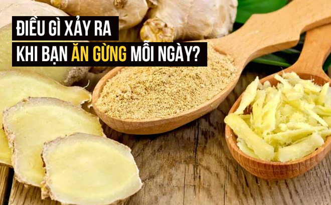 Hộp 20 gói Gừng Sấy Tắc và Mật Ong Gingerta (400g 560g) 5