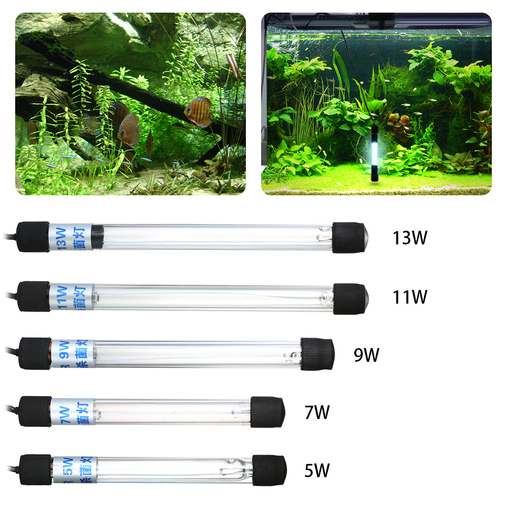 Đèn UV 5W 7W 9W 11W diệt khuẩn, rêu tảo bể cá cảnh trong 7 ngày cao cấp Sterilization King