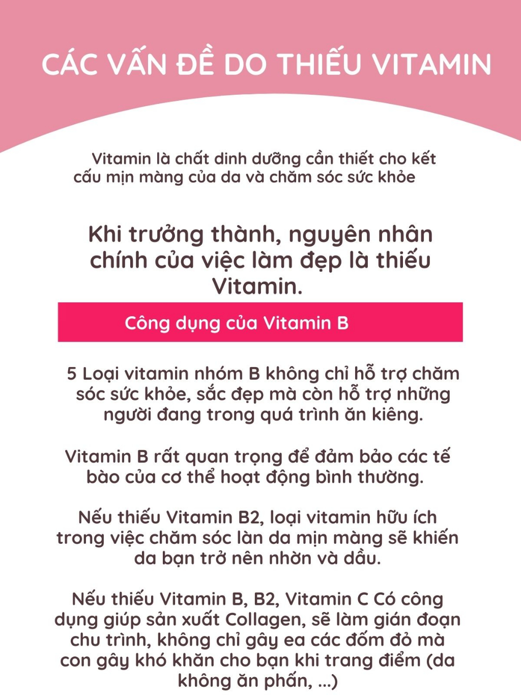 Combo Viên Uống Bổ Sung Vitamin C, E, D, B Vitamin Tổng Hợp Và Khoáng Chất Seedcoms Nhật Bản