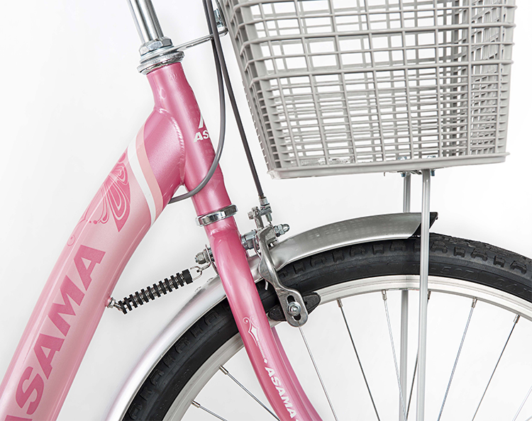 Xe Đạp Thời Trang Asama CLD BR 2402