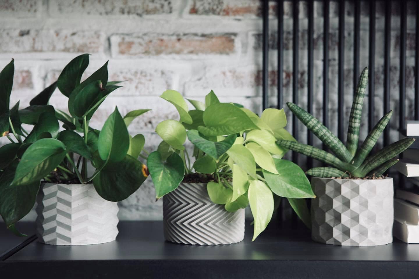 Chậu cây để bàn làm việc văn phòng, OnionDecor 15x11cm, Chậu Xi Măng Trụ Tròn Họa Tiết Vintage trồng sen đá, xương rồng, cây cảnh mini cement pots