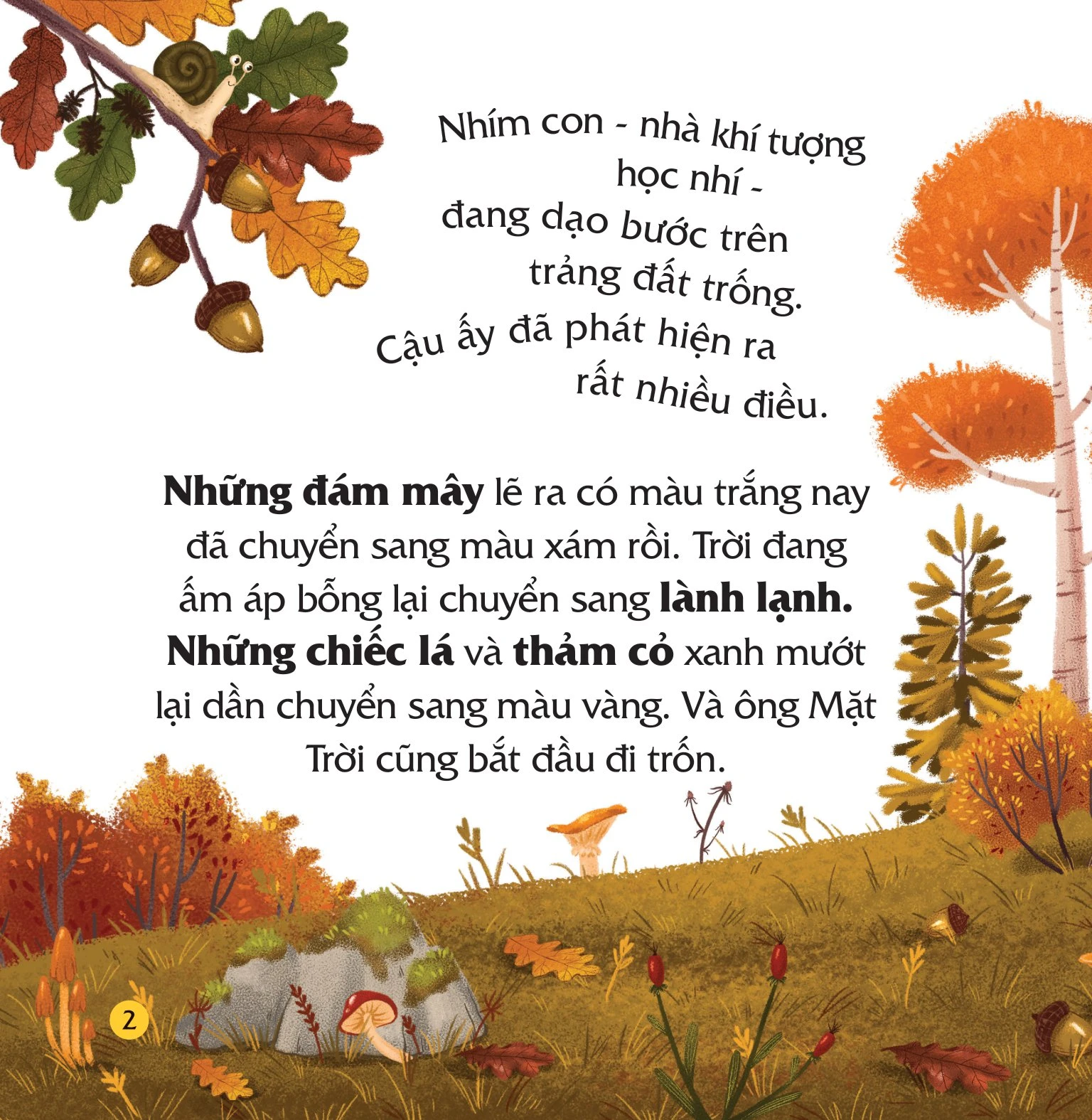 Combo (4 tập): Truyện kể bốn mùa - Nhím con ham học hỏi