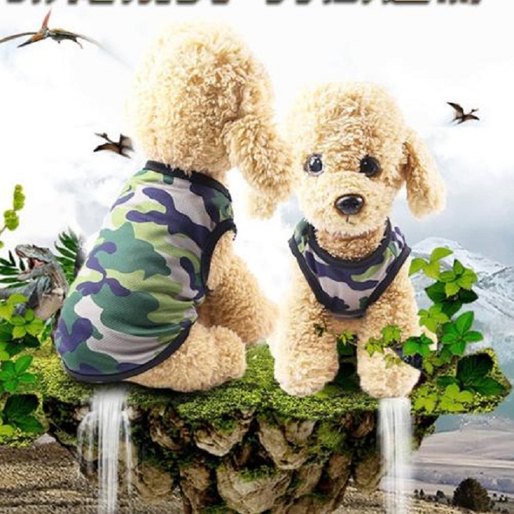 Combo siêu tiết kiệm gồm 4 áo thun cực đáng yêu ngẫu nhiên dành cho chó mèo dưới 10kg Xudapet