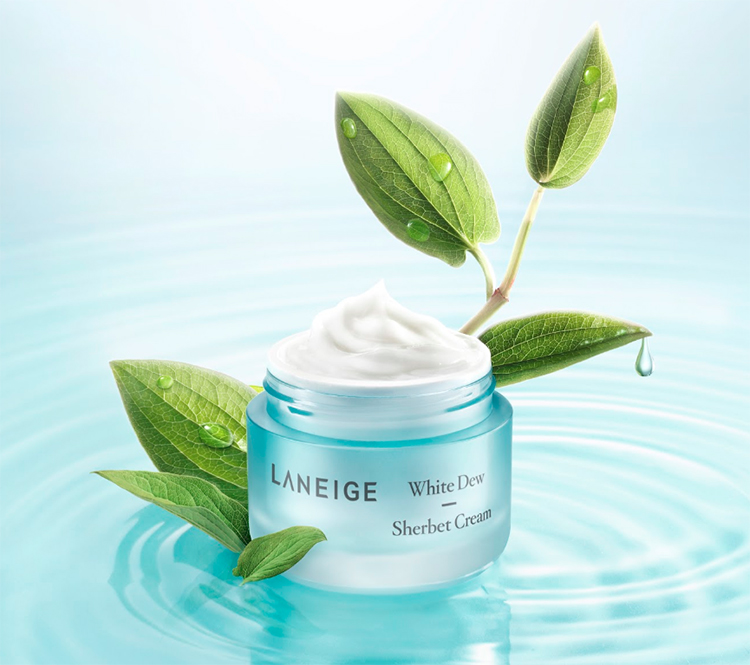 Bộ Kem Dưỡng Trắng Và Dưỡng Ẩm Laneige White Dew Sherbet Cream 50ml) + Bộ Dưỡng Trắng Và Làm Sáng Da