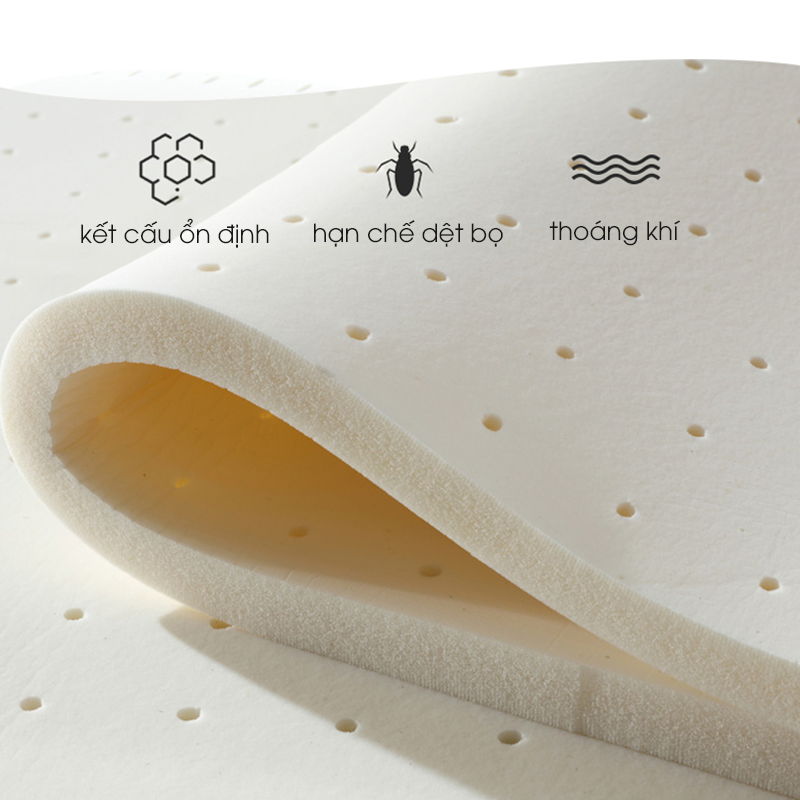 Giường Xếp Đa Năng Gấp Gọn, Giường Sinh Viên, Giường Đơn Kim Loại Kèm Đệm - Hàng Chính Hãng