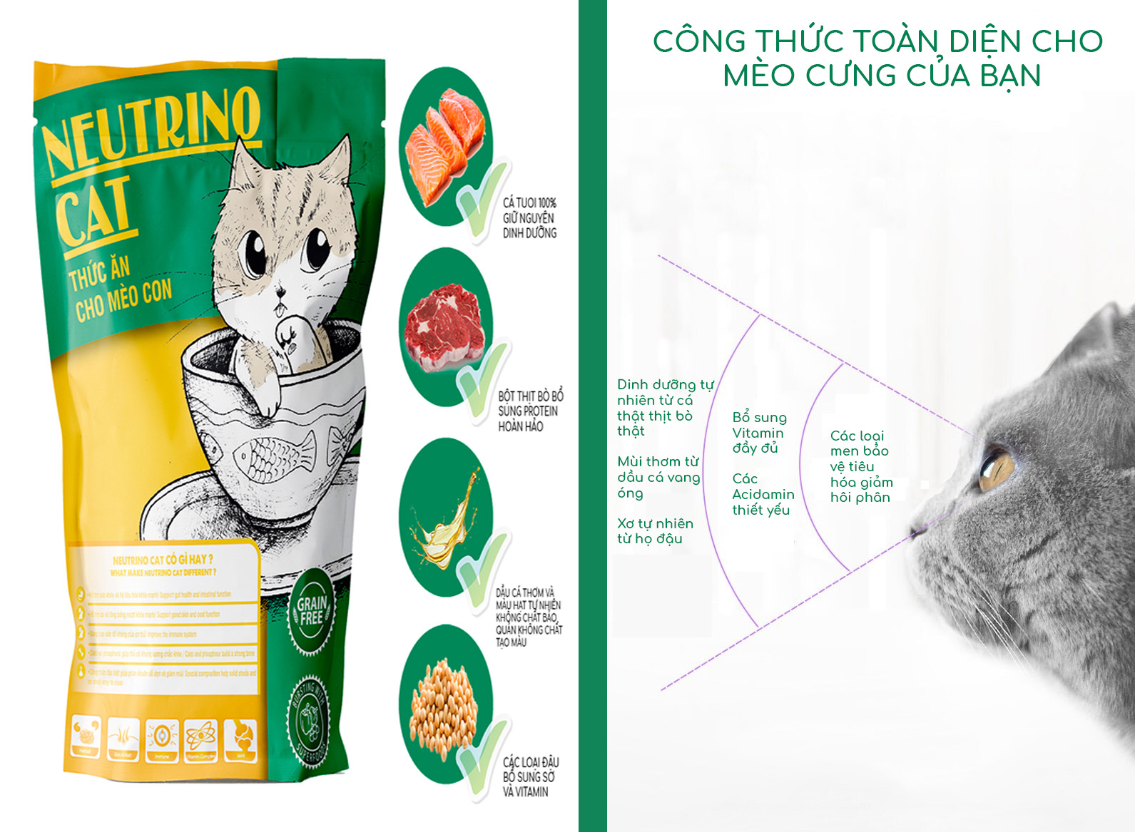 Thức ăn cho Mèo con Neutrino Cat 2