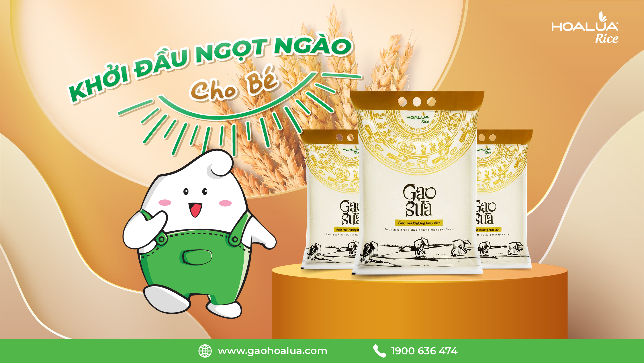 GẠO SỮA THƯỢNG HẠNG 5kg - Gạo Hoa Lúa