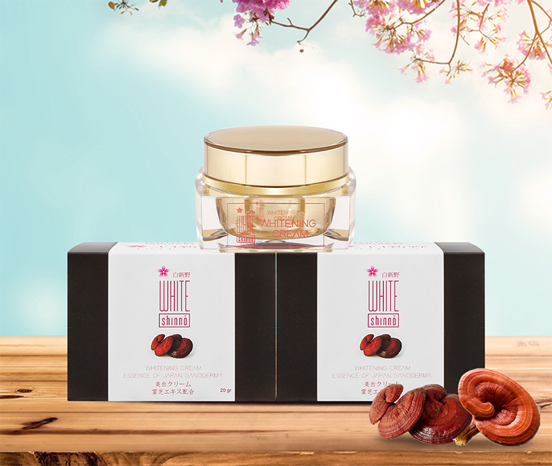 Bộ 2 Kem xóa mờ nám và dưỡng trắng da White Shinno Nhật Bản - Hộp 20gr