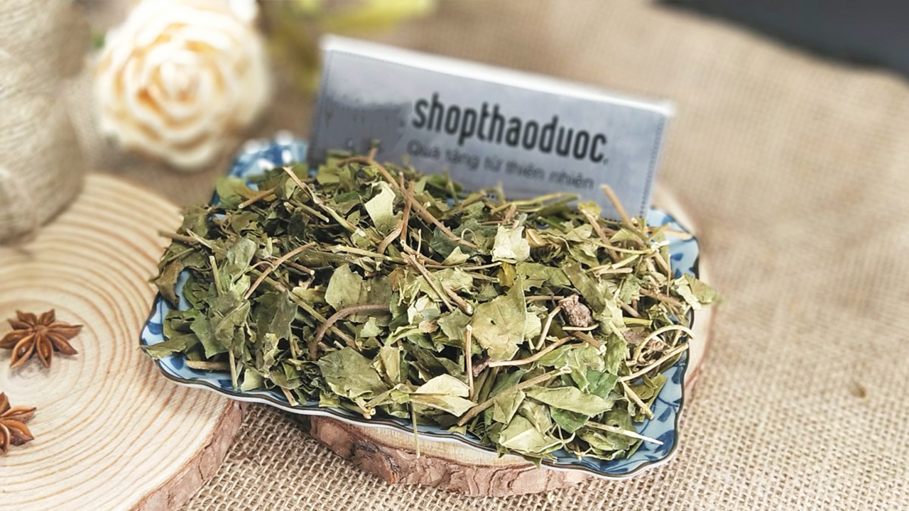 Dây Thìa Canh Sạch Sấy Khô Gói 500Gr - Trà Dây Thìa Canh Shop Thảo Dược Hỗ Trợ Ổn Định Đường Huyết, Tốt Cho Người Cao Huyết Áp