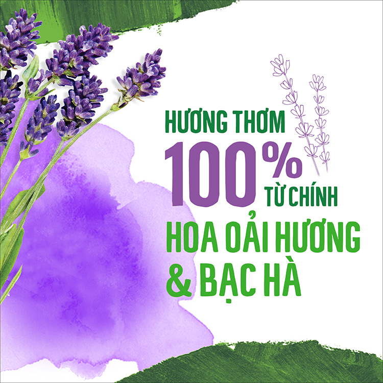 Nước Rửa Chén Gốc Thực Vật Seventh Generation Lavender & Mint Hương Oải Hương Bạc Hà 750Ml
