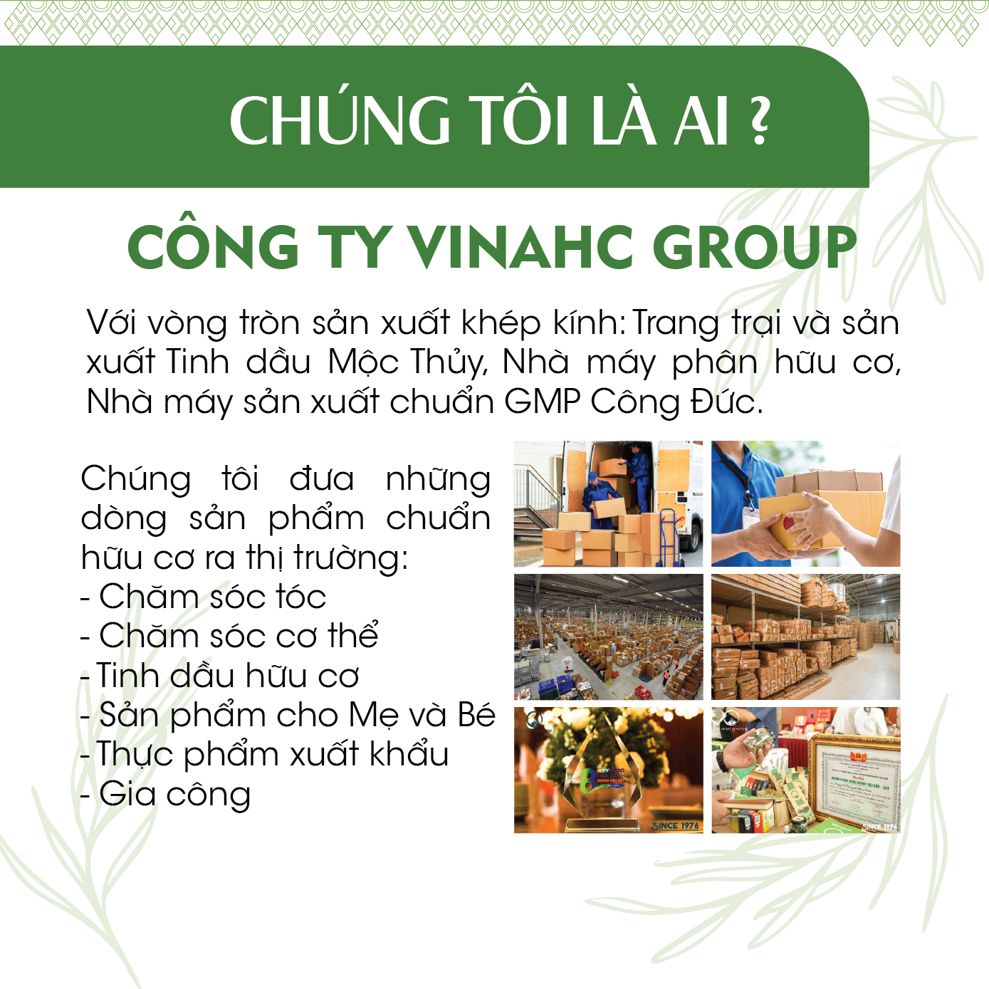 [TỰ CHỌN 10 MÙI] Xịt Phòng Tinh Dầu Hữu Cơ Organic 24Care 100ML - Kháng khuẩn - Khử mùi hôi - Đuổi muỗi - côn trùng - Tạo không gian lãng mạn, hẹn hò - Hương thơm thư giãn 11