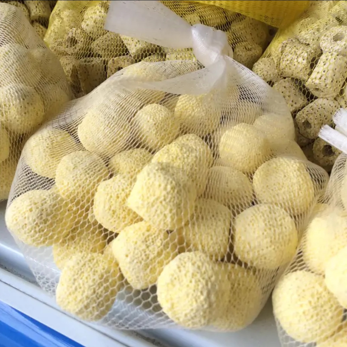1Kg Vật liệu lọc hồ cá: bông 8D, men vi sinh hồ cá PSB 100ML cao cấp