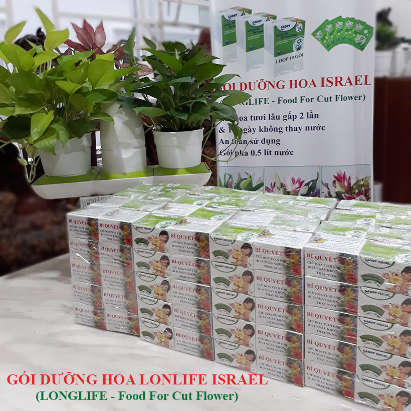 Bột Cắm Hoa Lily Tươi Lâu, Hiệu Longlife nhập khẩu Isarel (Bộ 30 gói)