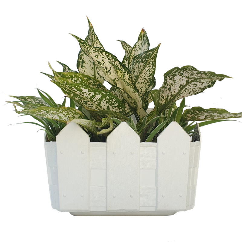 Chậu nhựa trồng cây treo tường kiểu hàng rào màu trắng với đế lưới thông minh