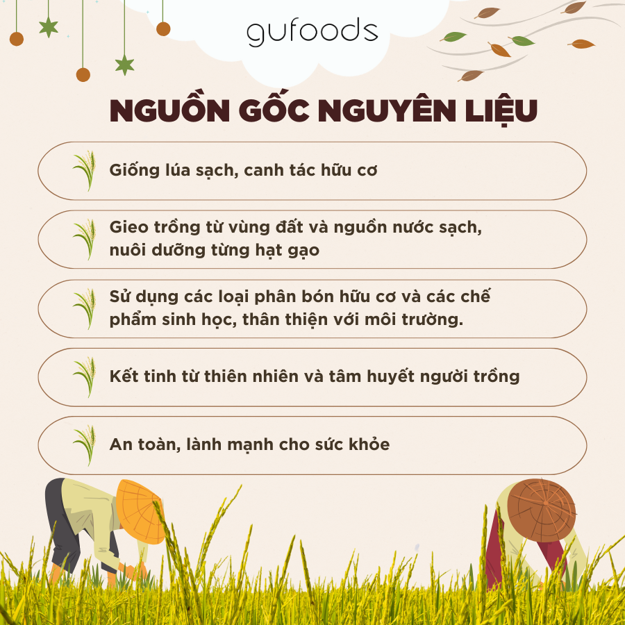 Bánh snack ăn dặm hữu cơ cho bé GUfoods - Thành phần gạo organic, Không gia vị, Dễ Tiêu hoá, Phù hợp cho bé từ 1 tuổi