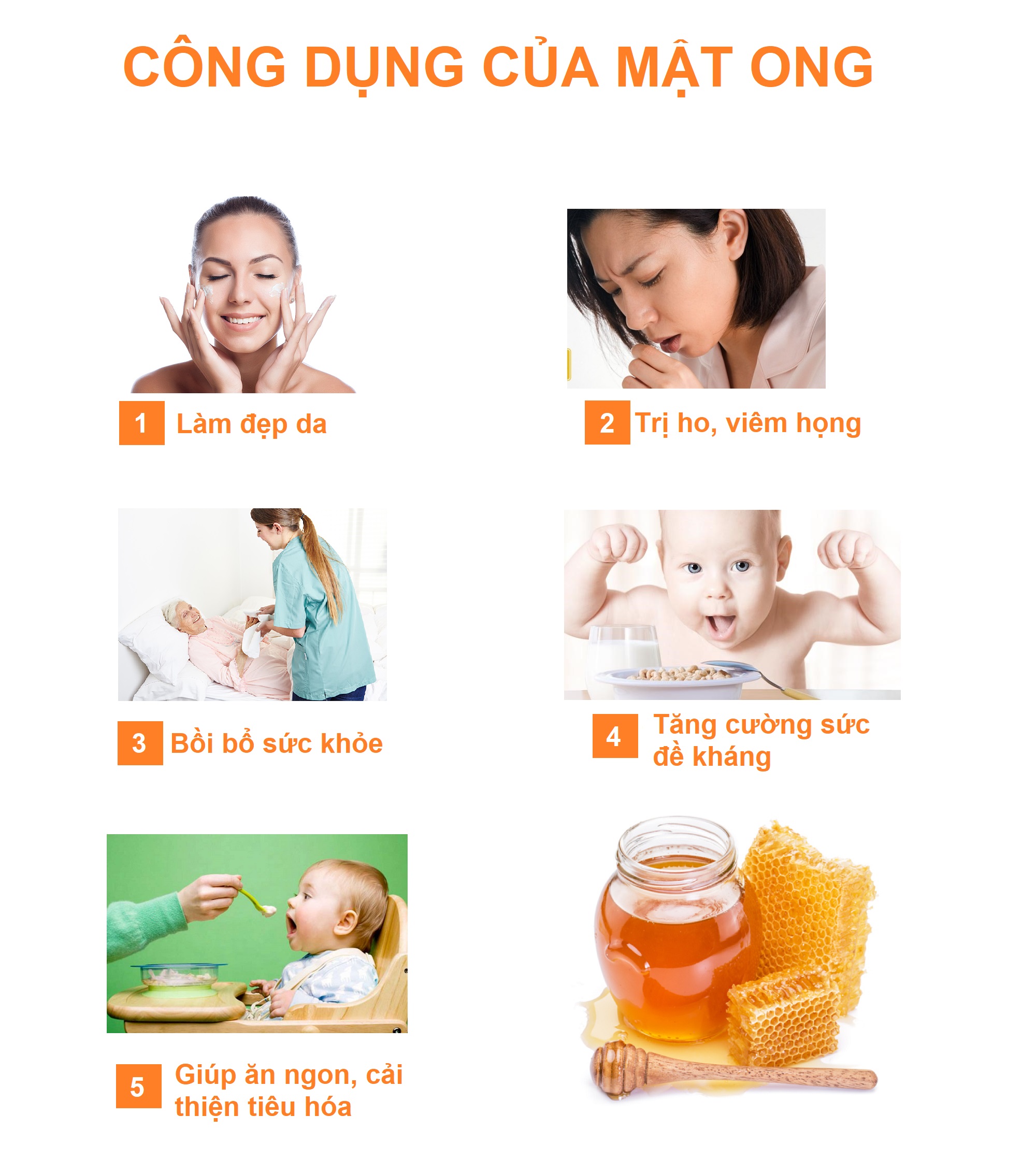 Mật ong nguyên chất  (MS ) - (1350g) - Mật ong rừng hoa cà phê