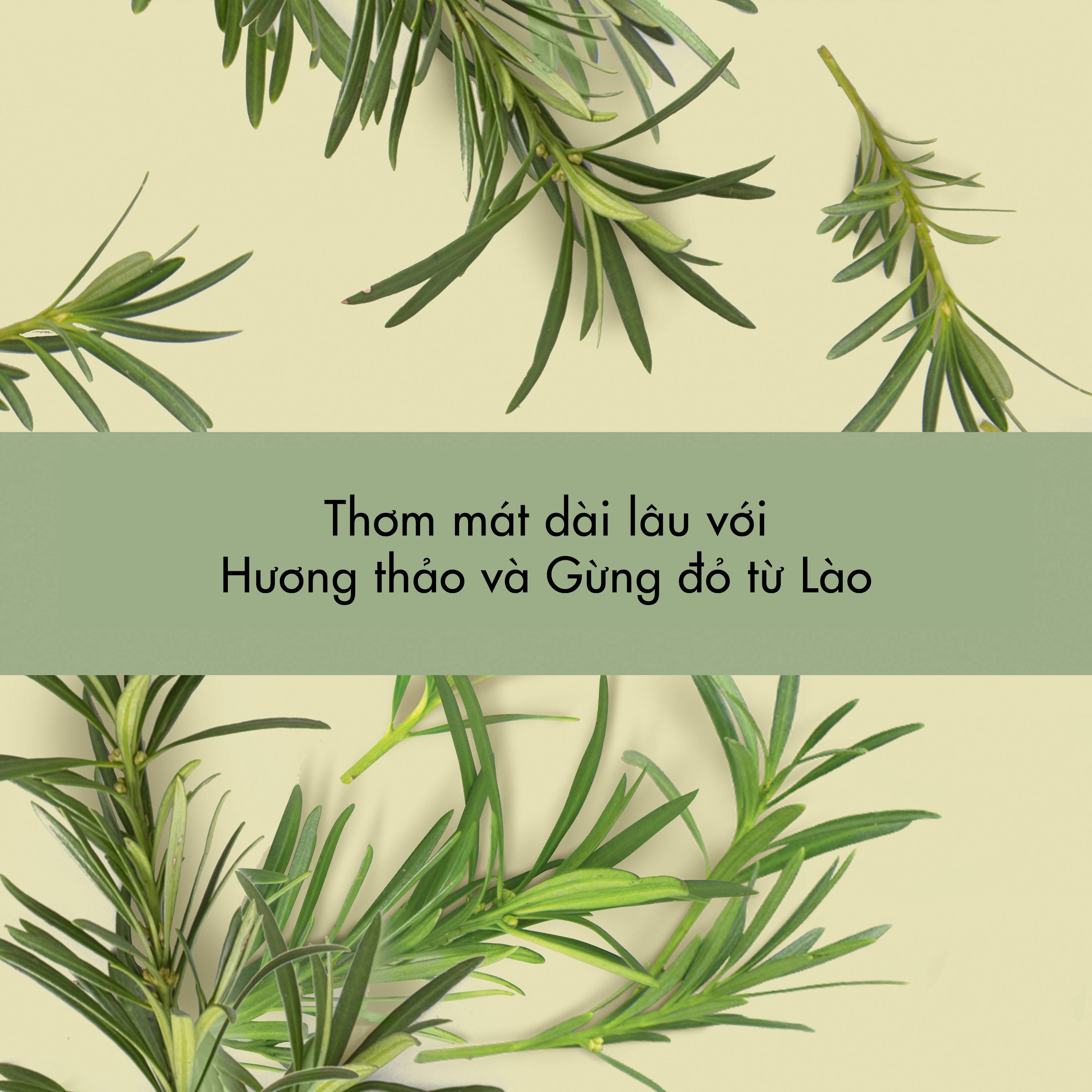 Kem Đánh Răng Love Beauty And Planet Thơm Mát Sảng Khoái 99g Kem Đánh Răng Love Beauty And Planet Thơm Mát Sảng Khoái 99g