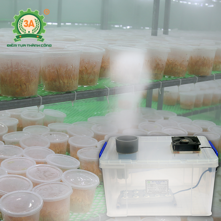 Máy tạo ẩm nhà nấm đông trùng hạ thảo 3A260W (10)