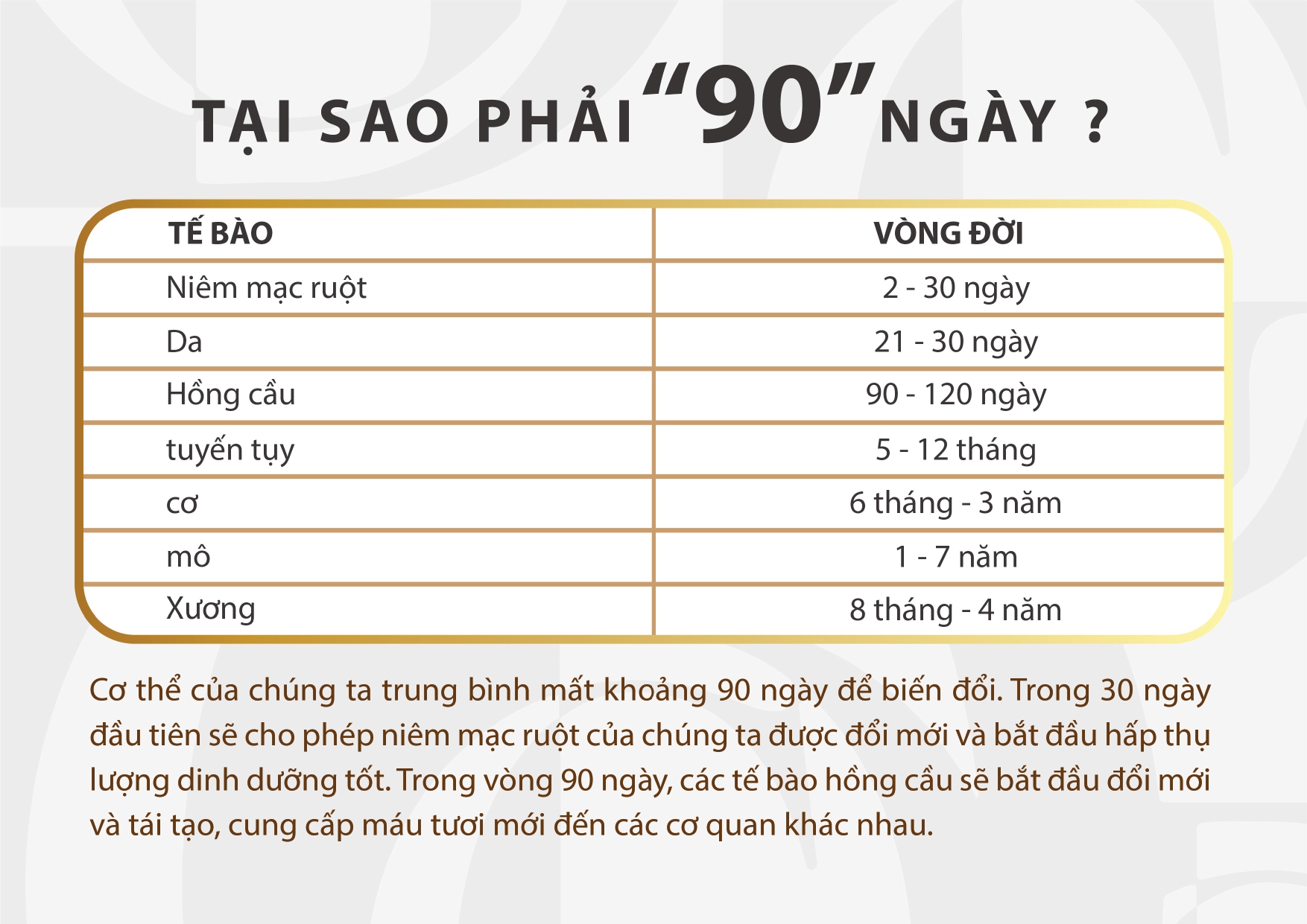 Viên uống bổ sung lợi khuẩn IMPERIUM ULTIMATE RESTORE khởi đầu cuộc sống lành mạnh với sức khỏe tiêu hóa tốt hơn, tăng cường miễn dịch, quà tặng ý nghĩa cho cấp trên, bạn bè, đồng nghiệp, người thân (15 viên/lọ)