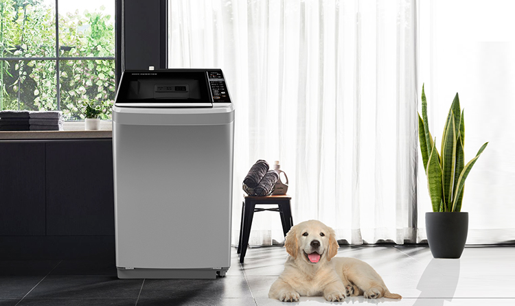 Máy Giặt Cửa Trên Aqua AQW-F800BT-S (8kg) - Hàng Chính Hãng Máy Giặt Cửa Trên Aqua AQW-F800BT-S (8kg) - Hàng Chính Hãng