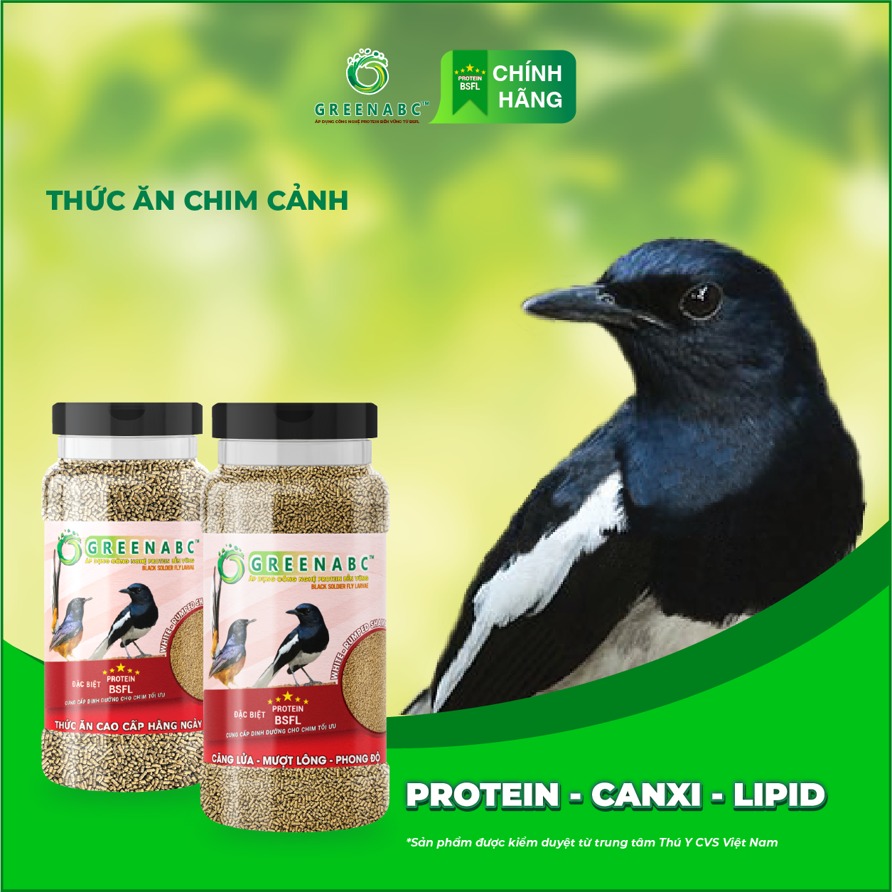Cám Chim Chích Chòe GREENABC – Giúp chim căng lửa, phong độ, 2 loại bổ sung và hàng ngày – Hộp 280g