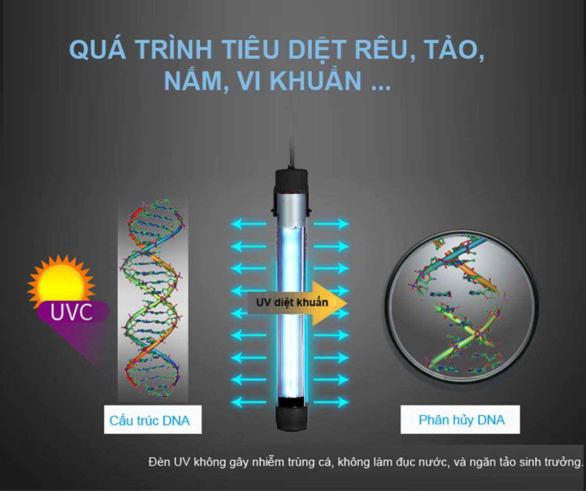 Đèn UV 5W 7W 9W 11W diệt khuẩn, rêu tảo bể cá cảnh trong 7 ngày cao cấp Sterilization King
