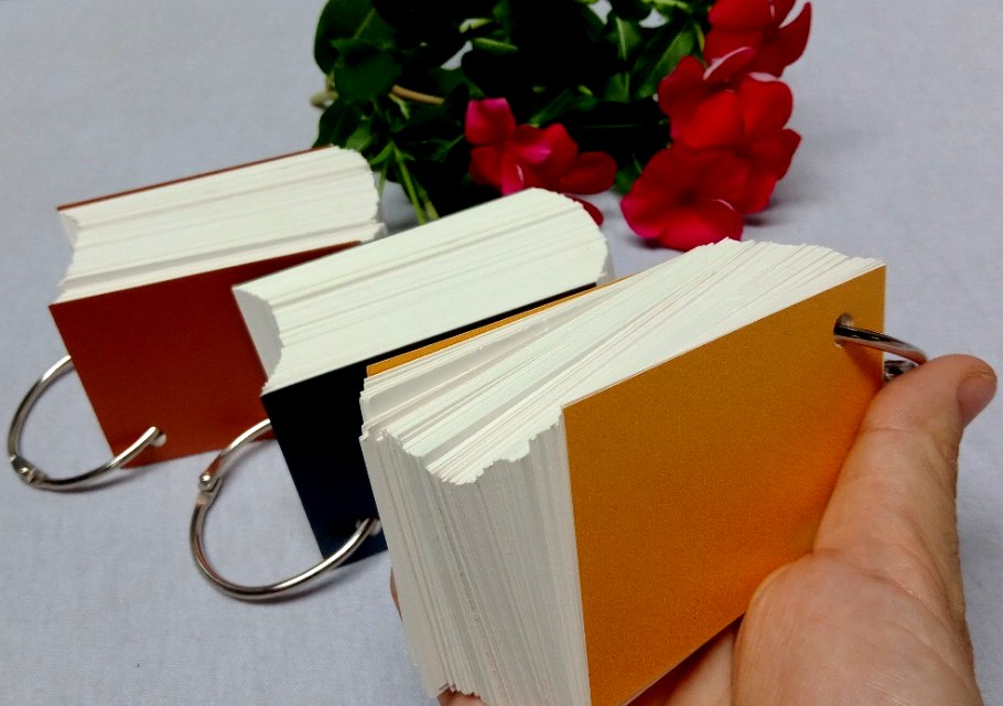 Combo 1.000 thẻ flashcards 4 màu học tiếng anh - Flashcard Phan Liên