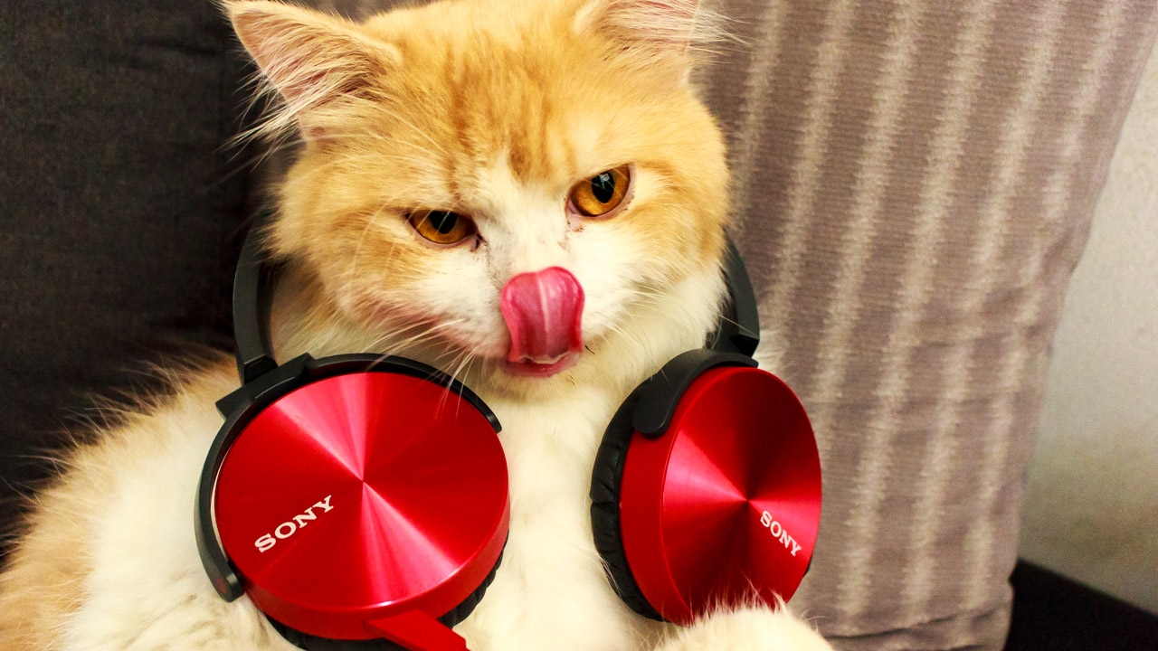 Tai Nghe Chụp Tai Sony ExtraBass MDR-XB450AP - Hàng Chính Hãng