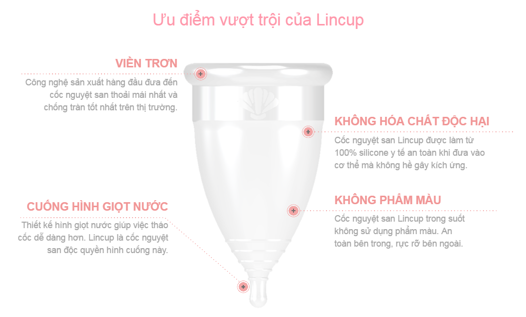 Bộ sản phẩm cốc nguyệt san Lincup+ 3