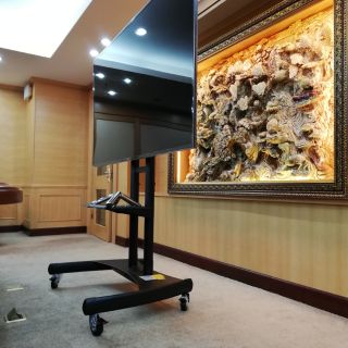 Giá treo tivi di động nhập khẩu AVA1500-60-1P (Đ8) màu đen cho tivi 32-65 inch