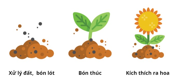 Sử dụng trực tiếp