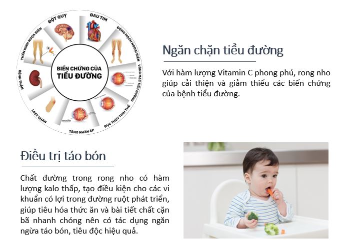 Combo 2 hộp Rong nho tươi tách nước Okinawa 100g (5 gói x 20g) + tặng kèm 2 gói bánh trứng Gia Khánh 5