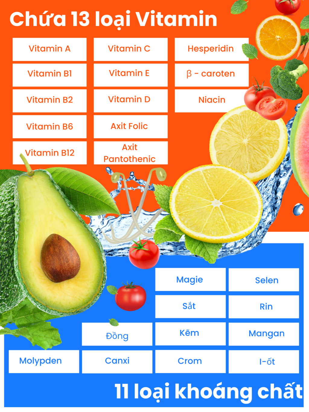 Combo Viên Uống Bổ Sung Vitamin C, E, D, B Vitamin Tổng Hợp Và Khoáng Chất Seedcoms Nhật Bản