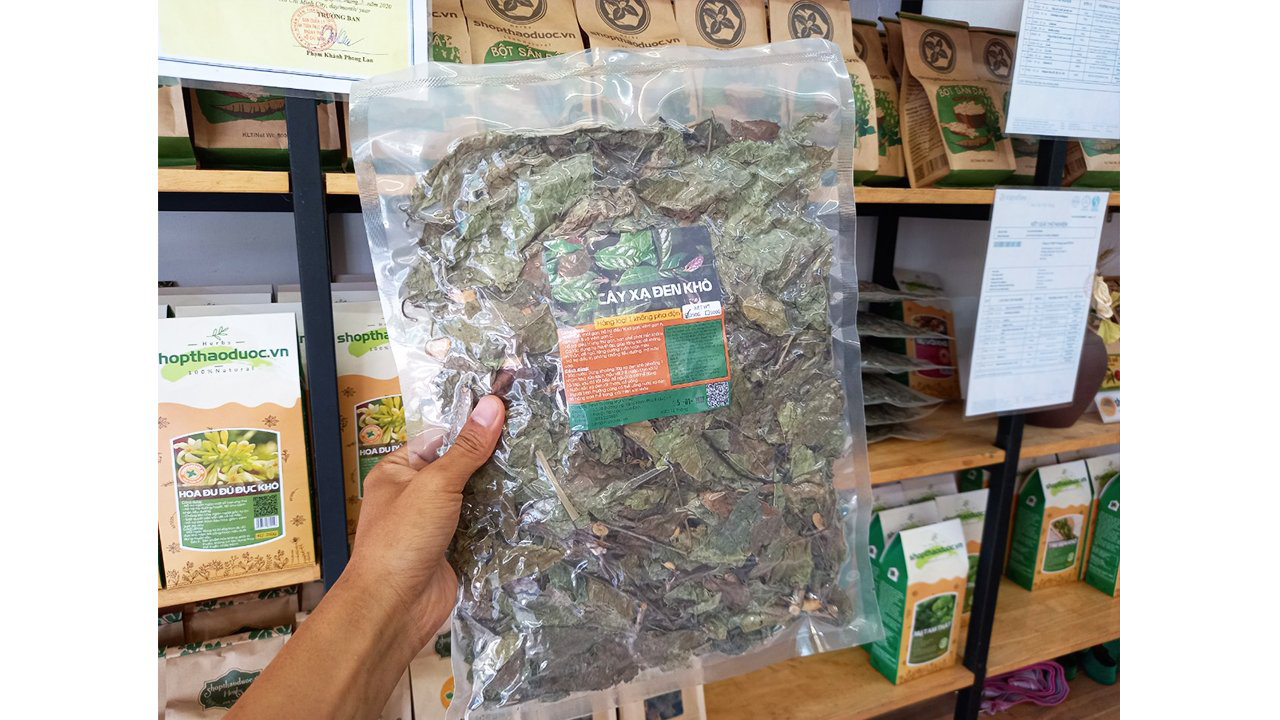 1kg cây xạ đen khô ( tặng 1 chai tinh dầu sả chanh 8ml ) - giúp ổn định huyết áp, thanh nhiệt, giải độc cơ thể