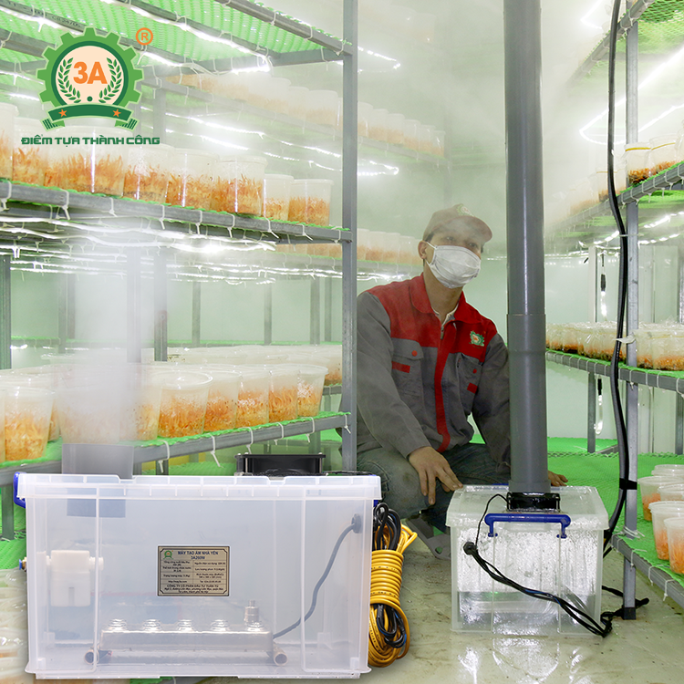 Máy tạo ẩm nhà nấm đông trùng hạ thảo 3A260W (02)