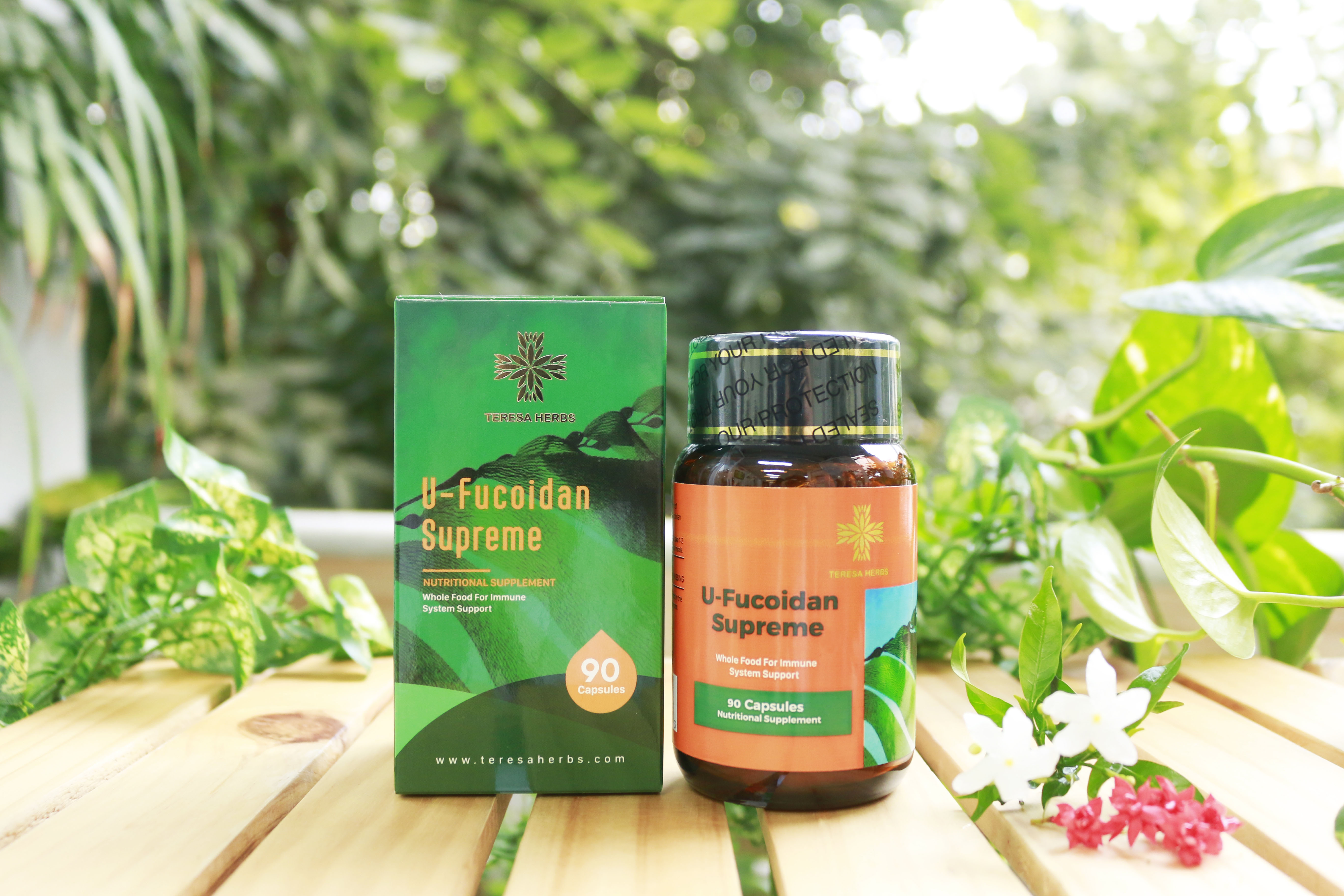 Thực phẩm bảo vệ sức khỏe U-Fucoidan cao cấp  Teresa Herbs U-Fucoidan (Lọ 90 viên)