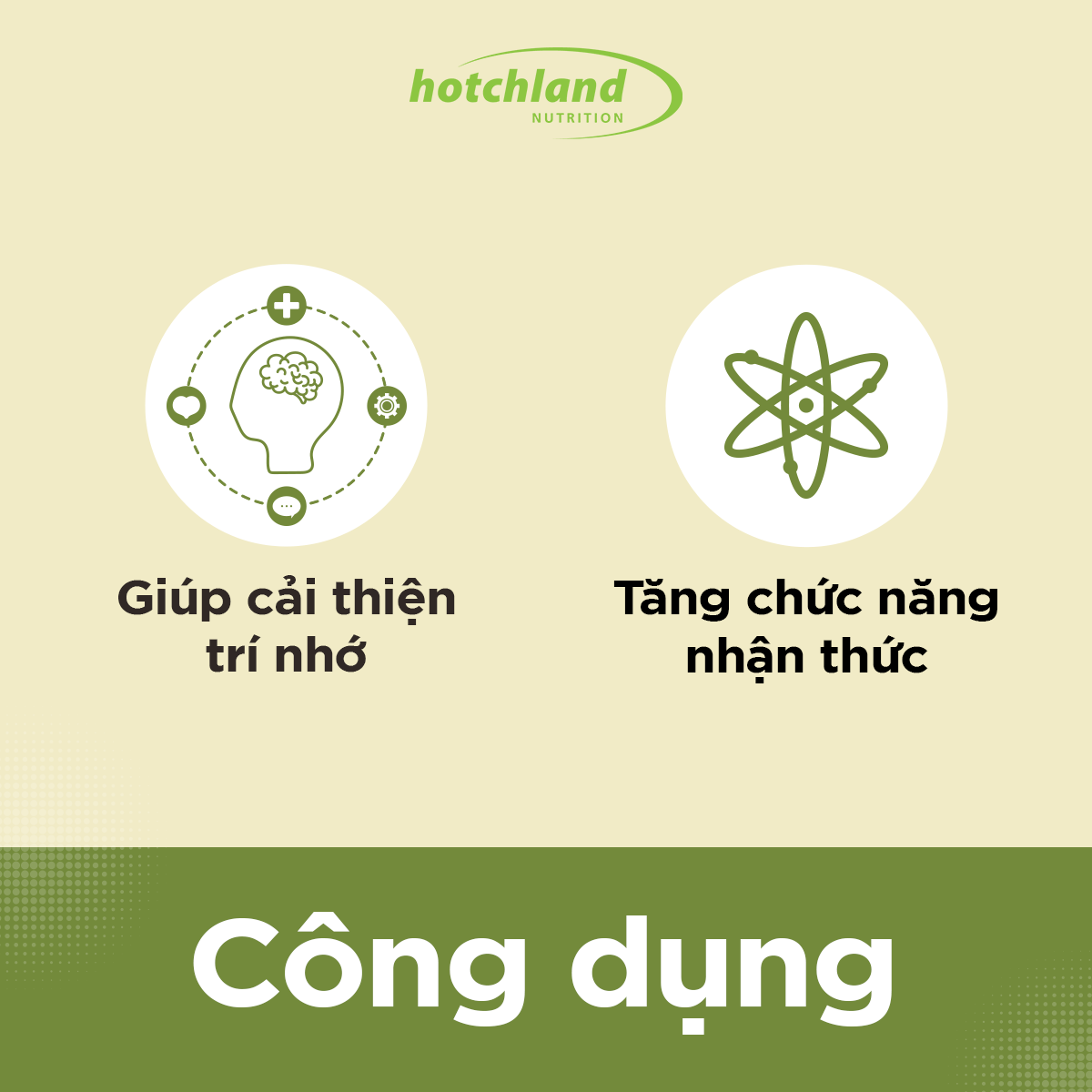 Viên uống Ginkgo Biloba hỗ trợ tăng cường tuần hoàn máu não, bổ não Hotchland Mega Brain TPBVSK-Hàng chính hãng [Hộp 60 viên]-HL0115